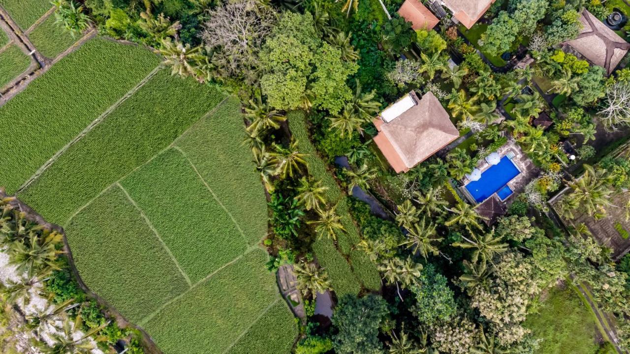 Alam Shanti Ubud Dış mekan fotoğraf